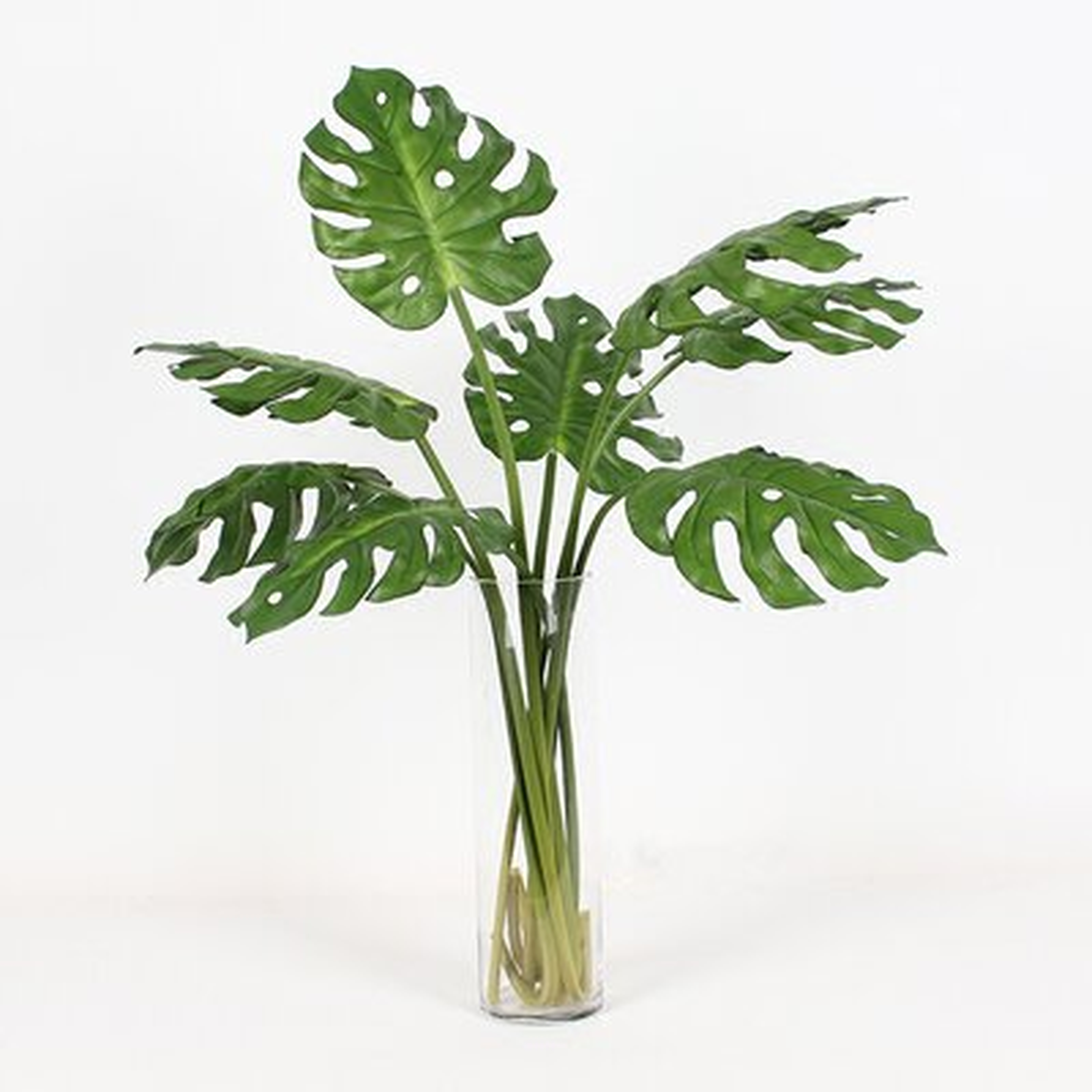 Artificial Turtle Leaf Stem - Wayfair