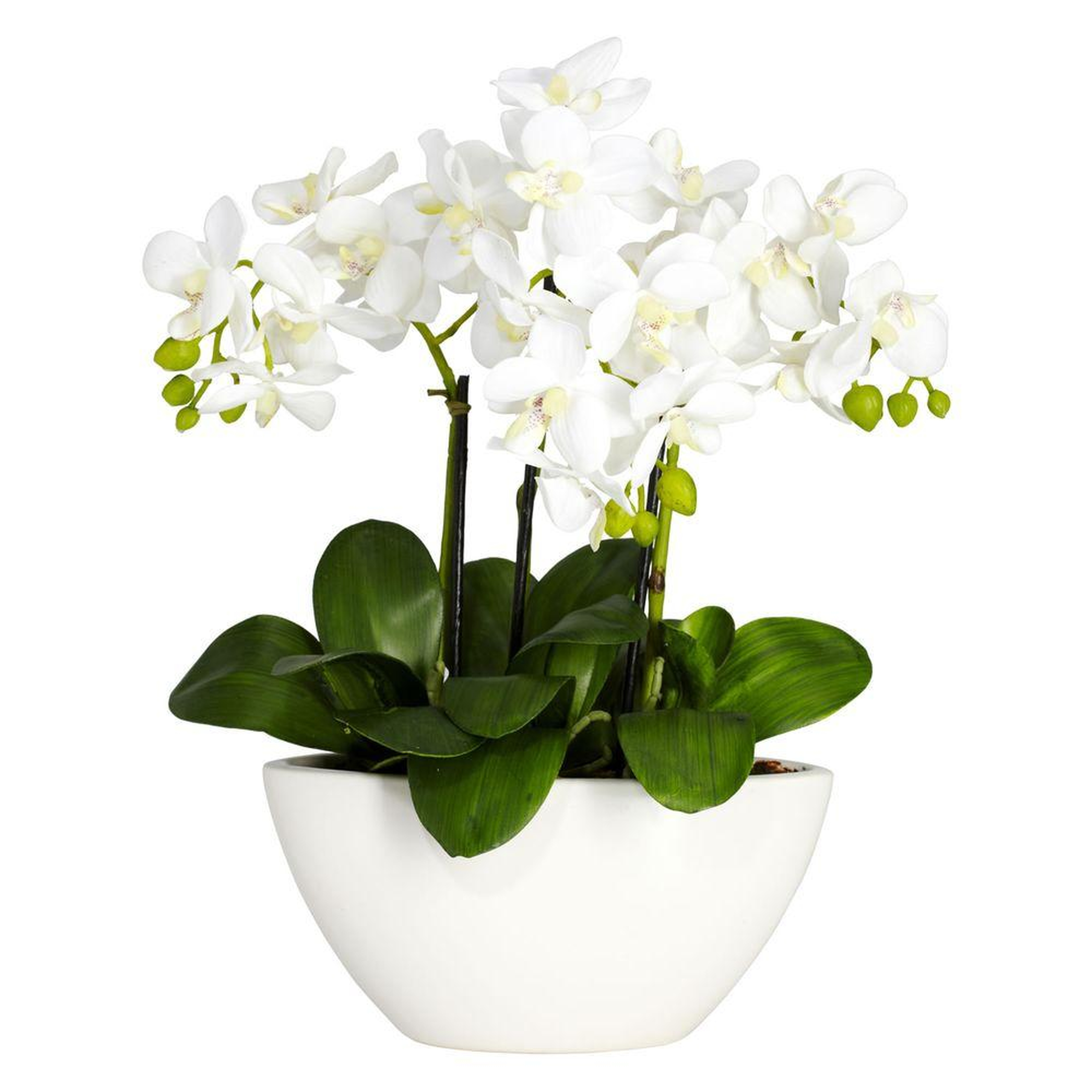 16 in. H White Phalaenopsis Silk Flower Arrangement - Home Depot