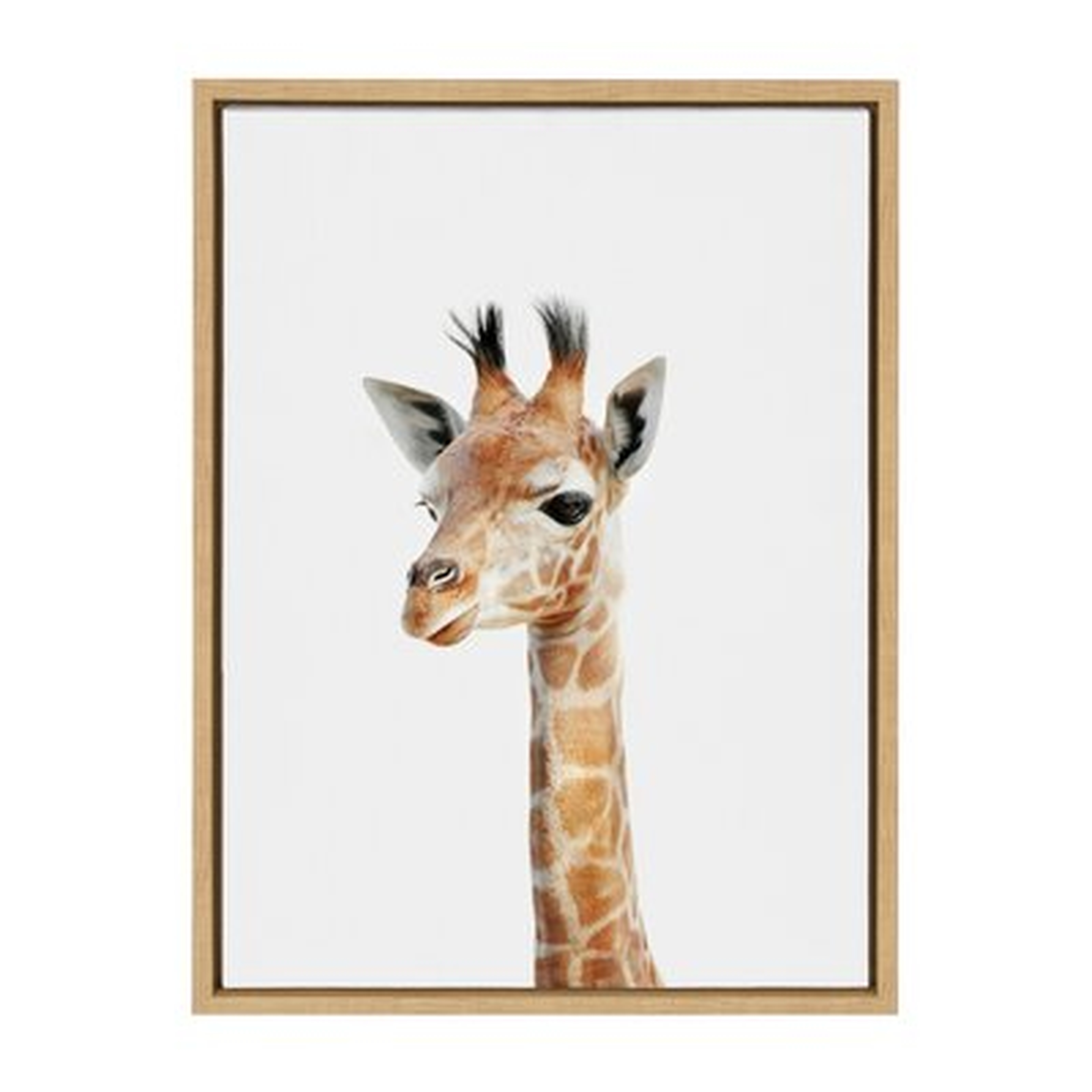 'Animal Studio Giraffe' by Amy Peterson - Floater Frame Photograph Print on Canvas - Wayfair