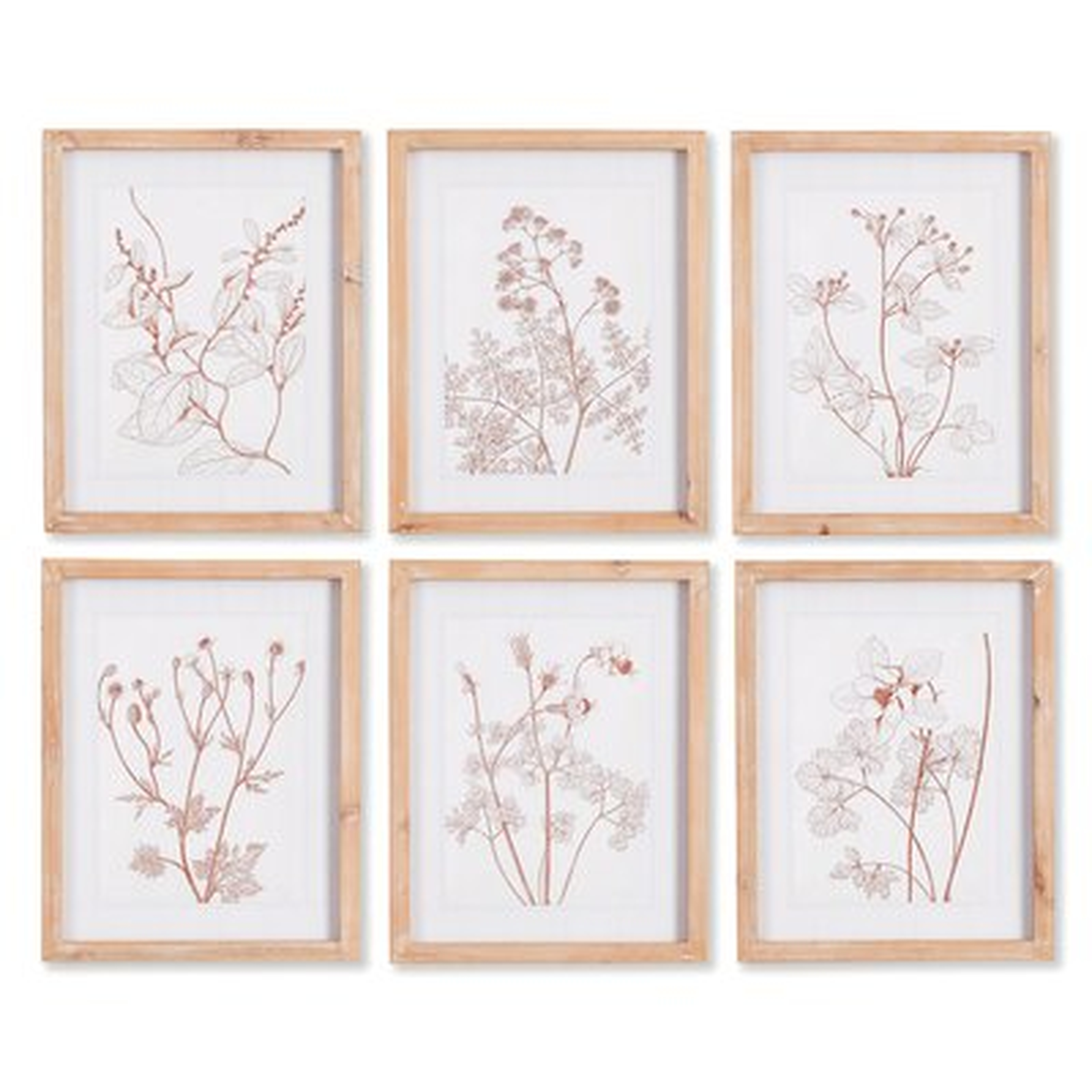 Botanicals - 6 Piece Picture Frame Print Set on Paper - Wayfair