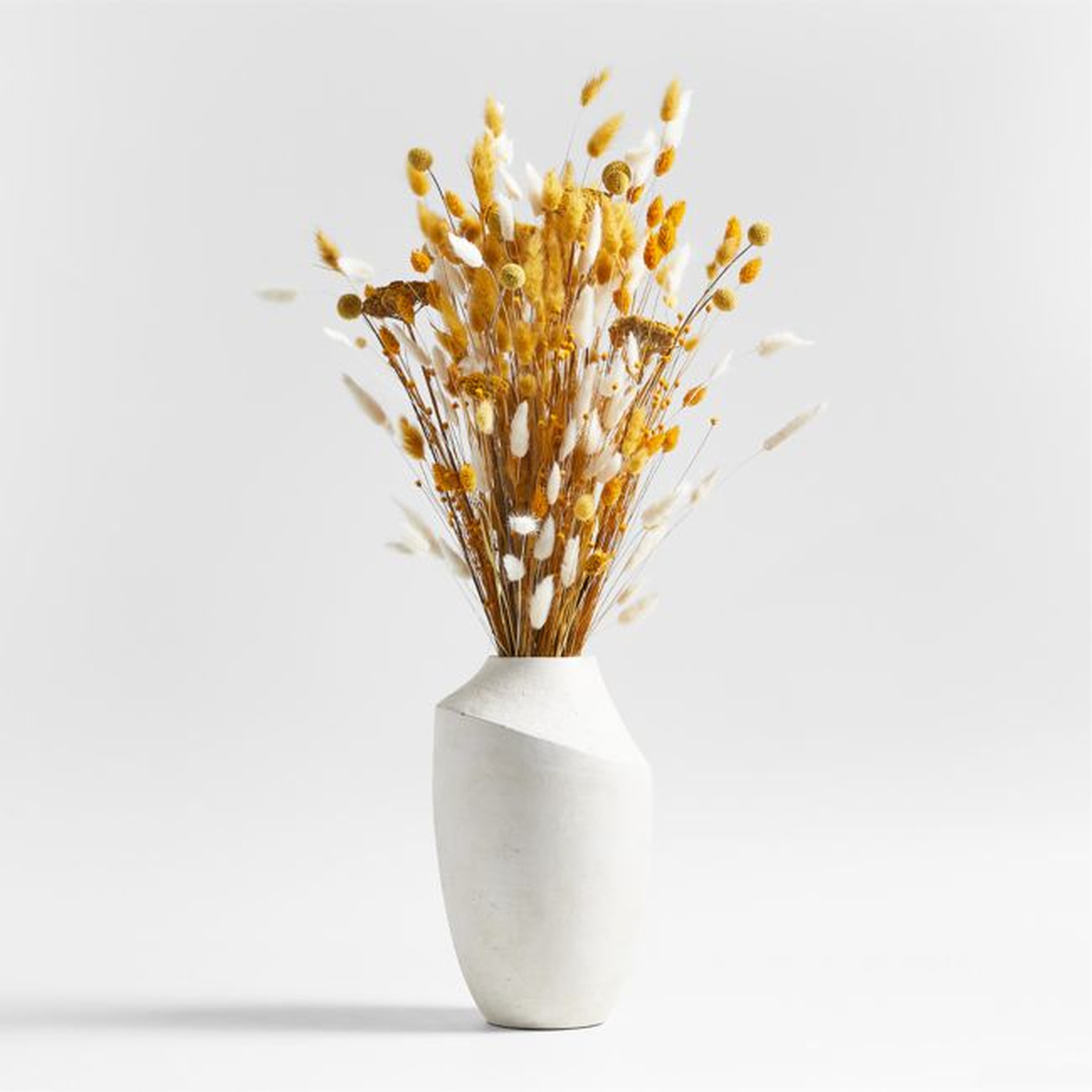 Dried Botanical Arrangement in Slope Vase - Crate and Barrel
