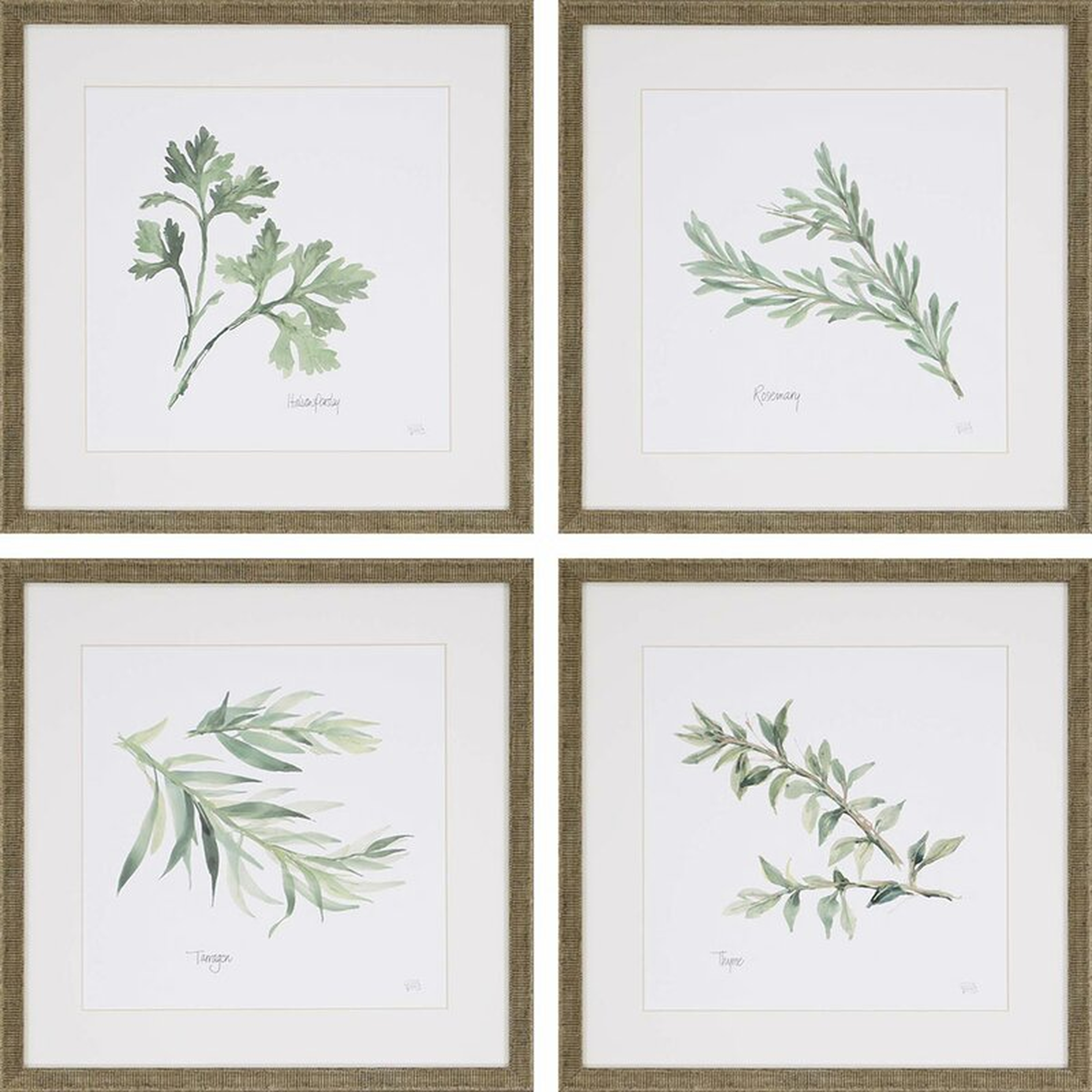 Herbs' Picture Frame Graphic Art, Set of 4 - Birch Lane