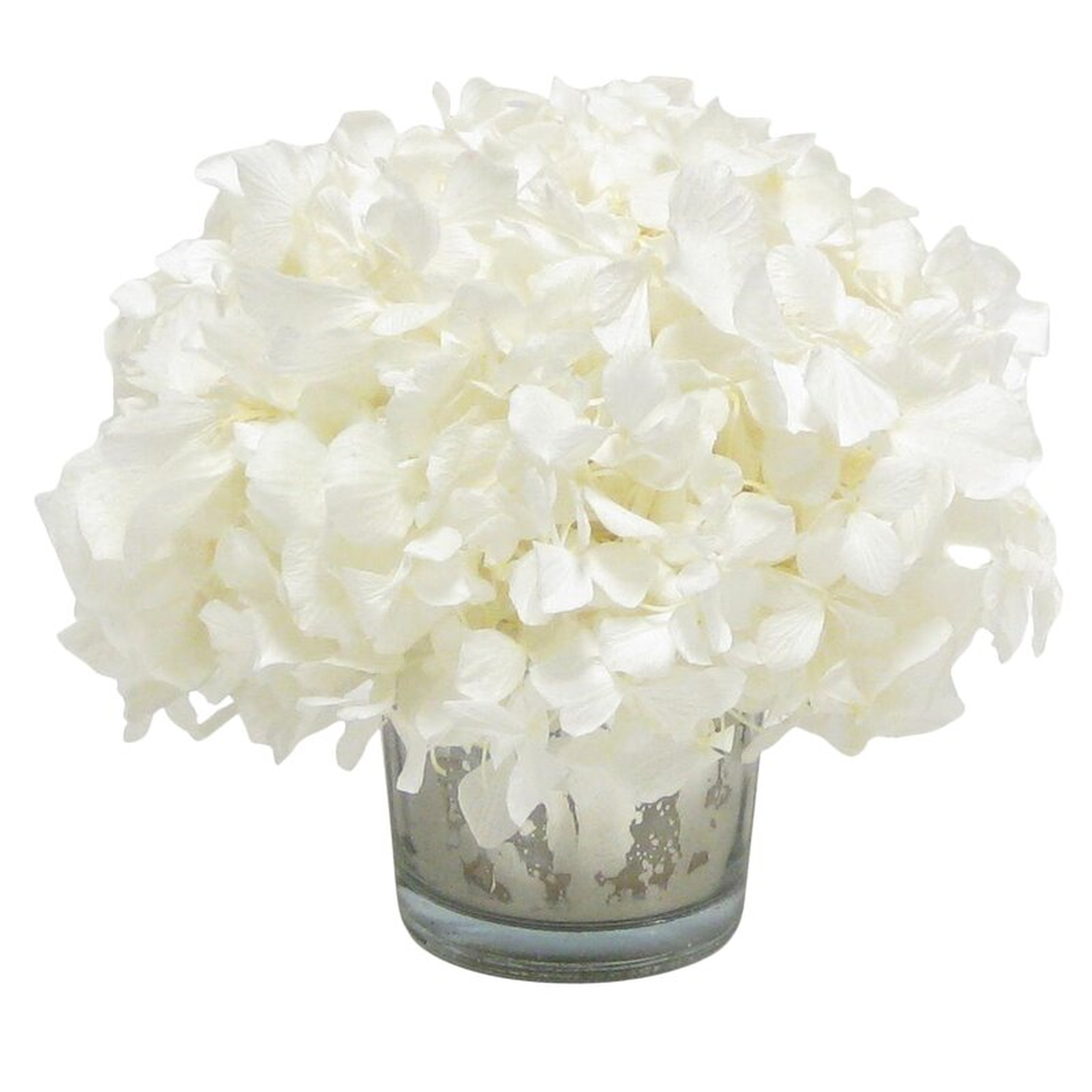 Mini Preserved Hydrangea Floral Arrangement in Vase Flower Color: White - Perigold