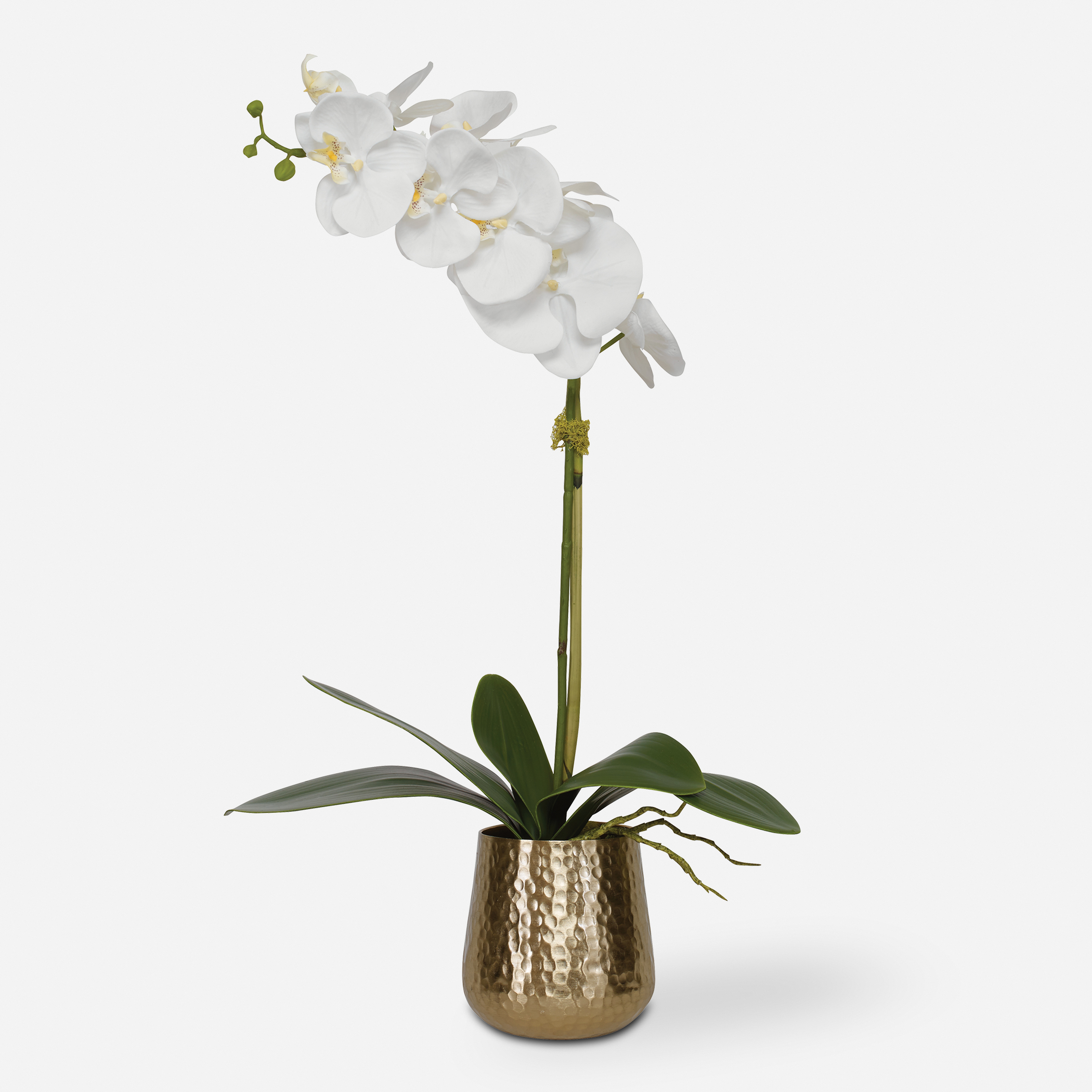 Cami Orchid With Brass Pot - Uttermost