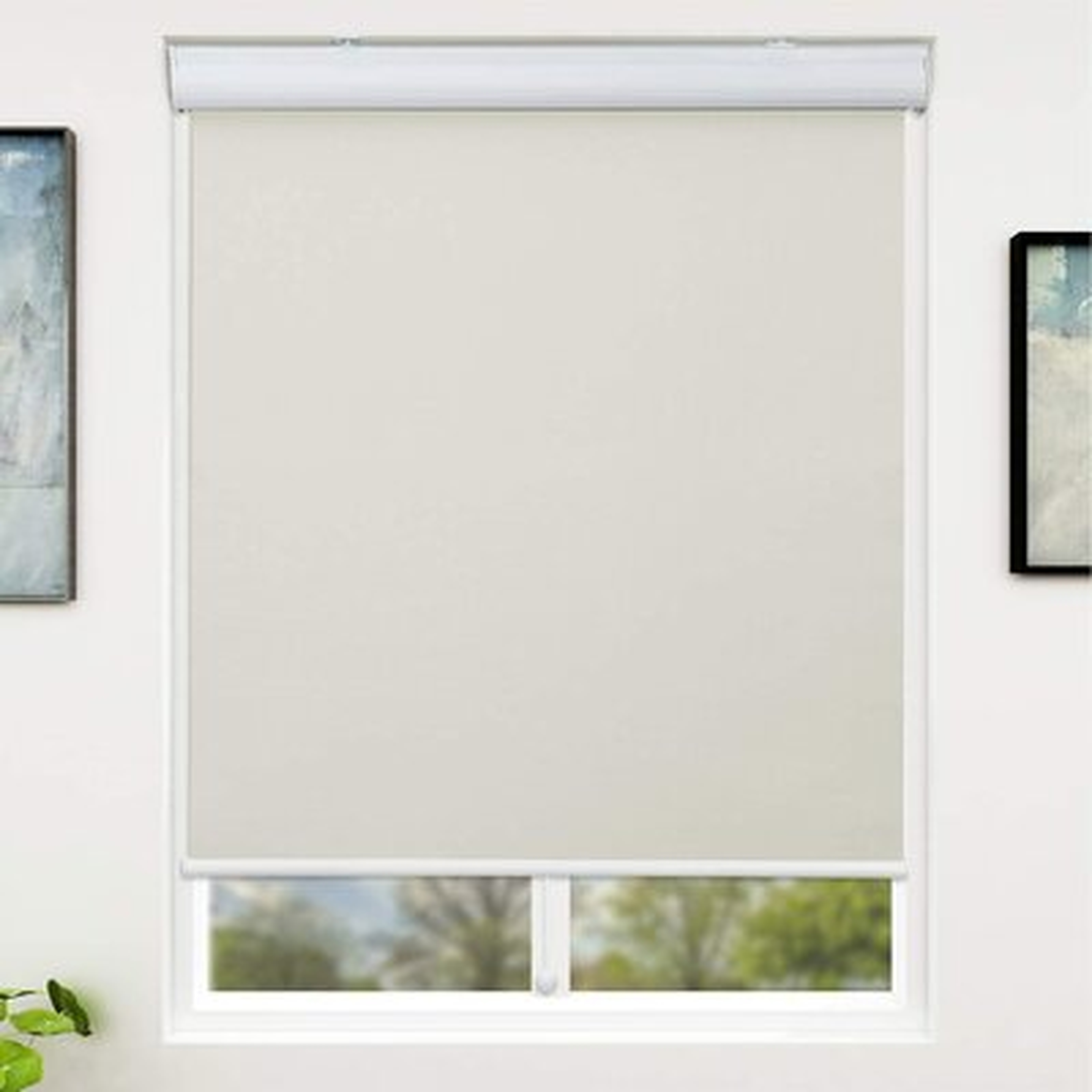 Blackout Window Shades Cordless Roller Shades For Window And Door, Home And Office - Wayfair