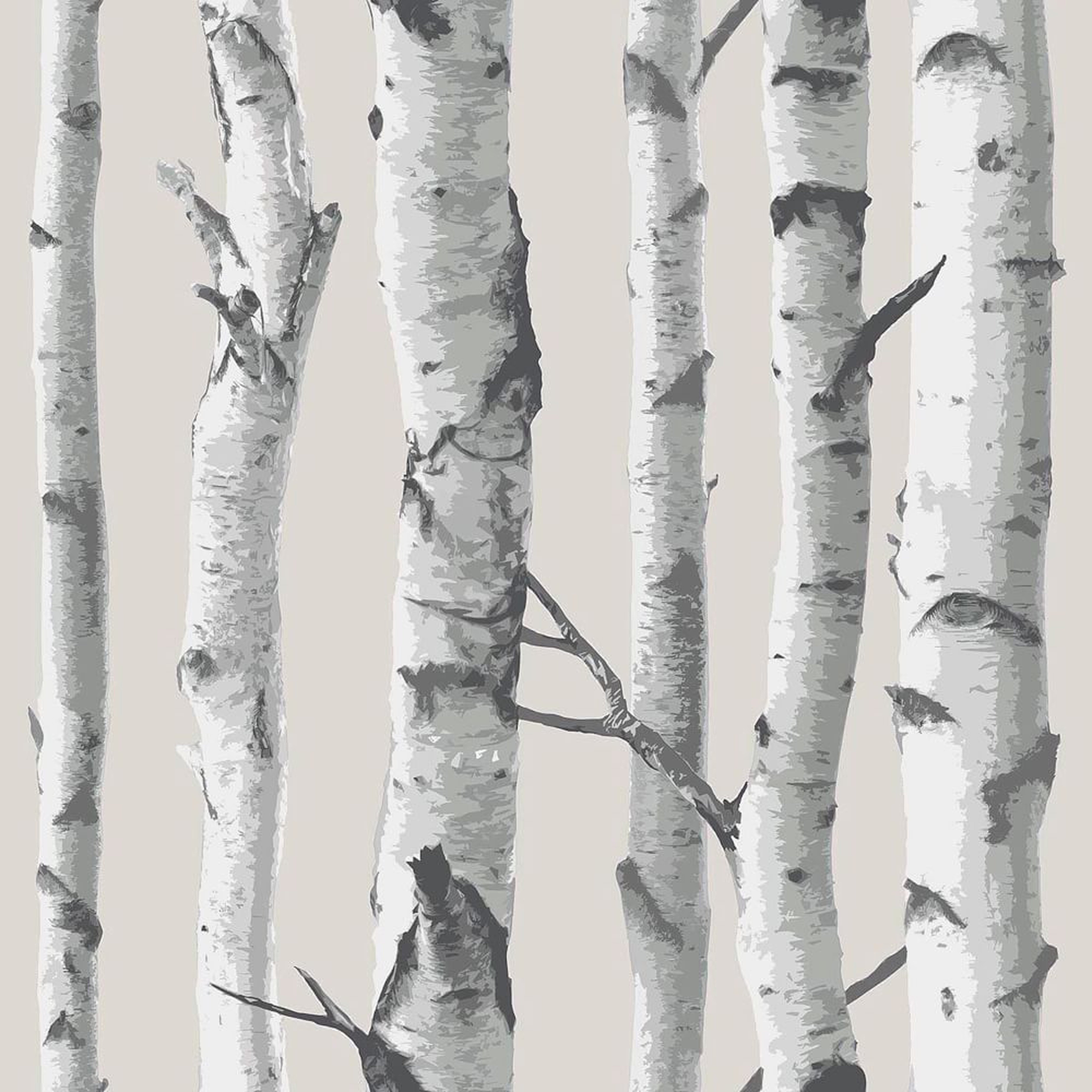 Birch Tree Peel & Stick Wallpaper - West Elm