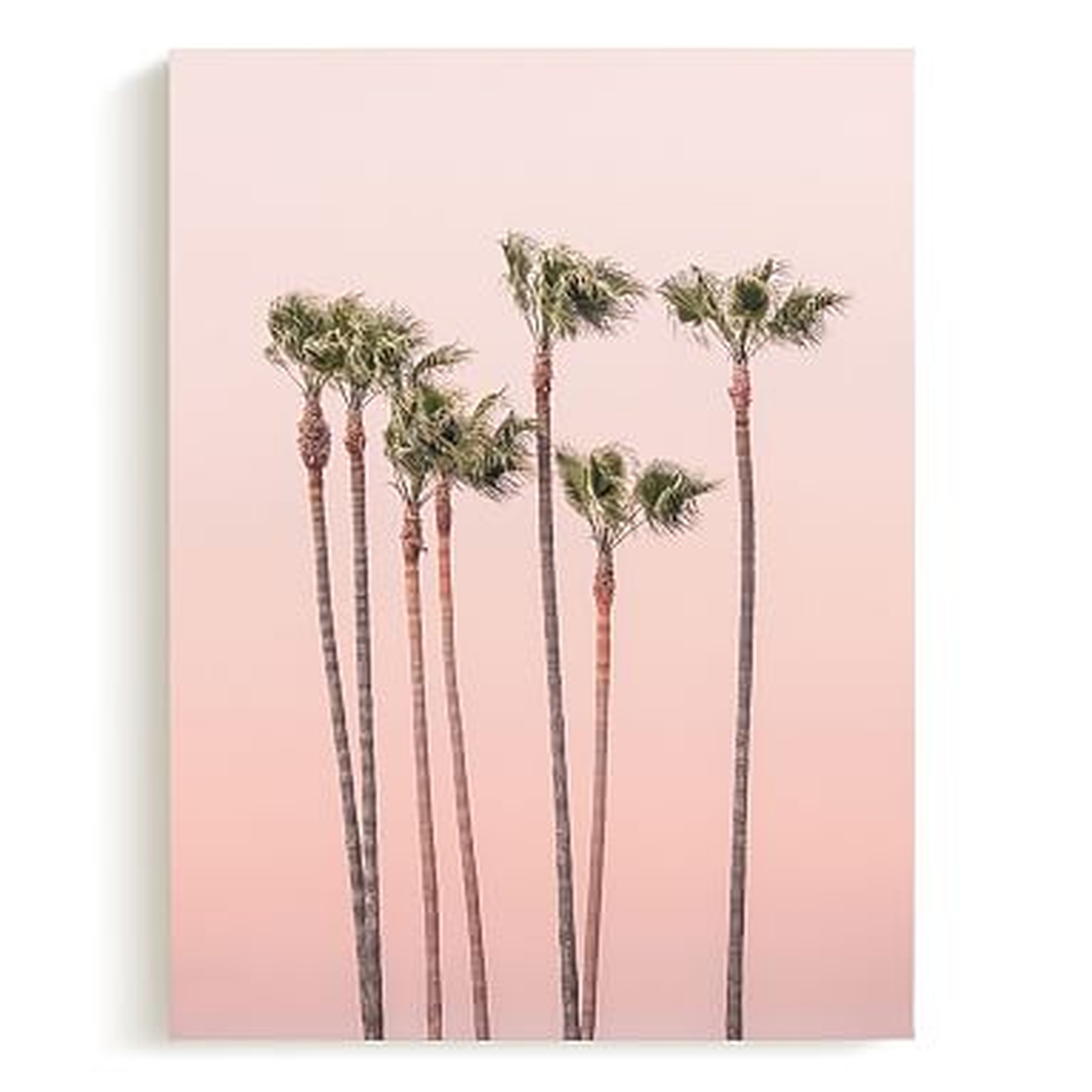 Minted(R) Seven Palmtrees Canvas,18x24 - Pottery Barn Teen