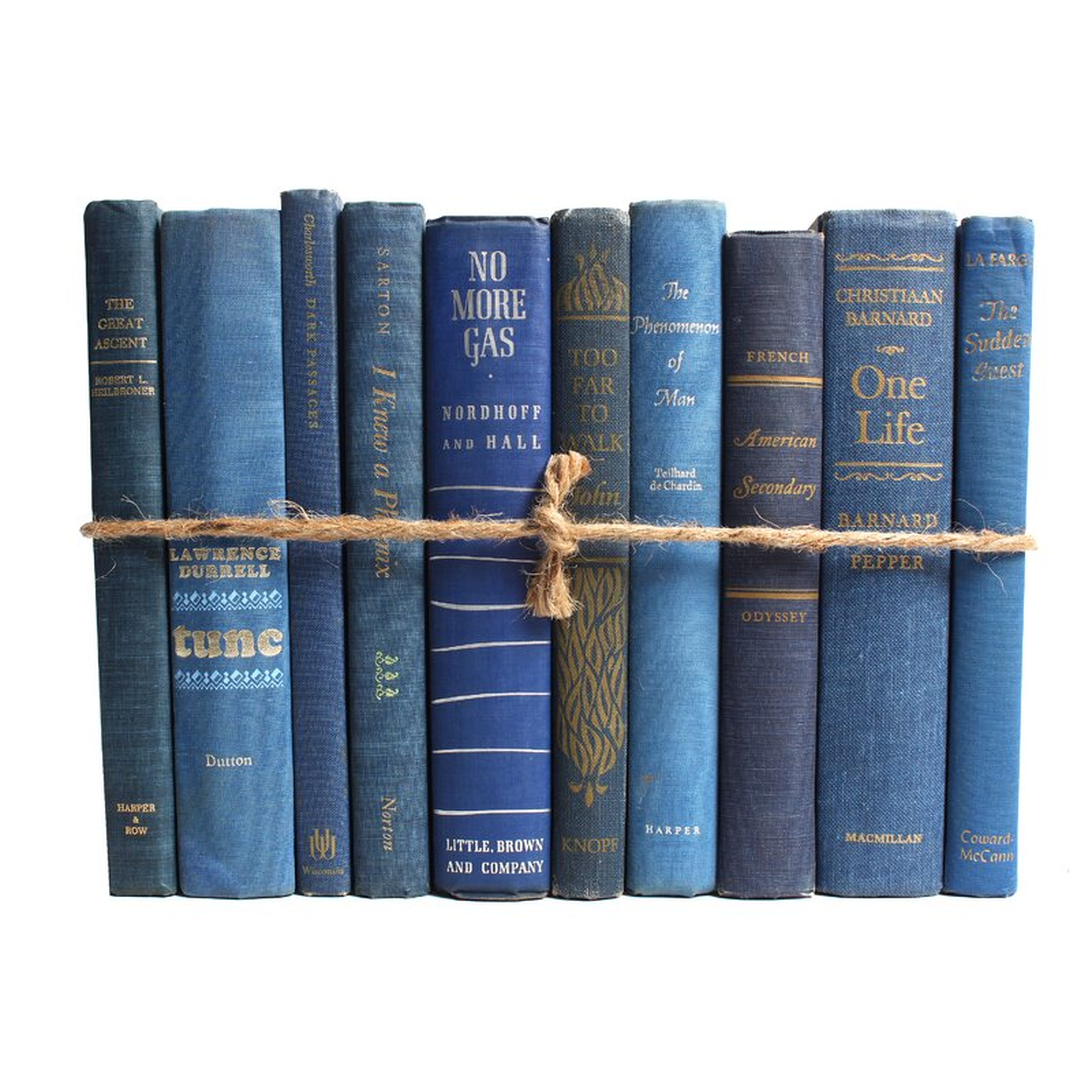 Booth & Williams Authentic Decorative Books - By Color Midcentury Denim ColorPak (1 Linear Foot, 10-12 Books) - Perigold