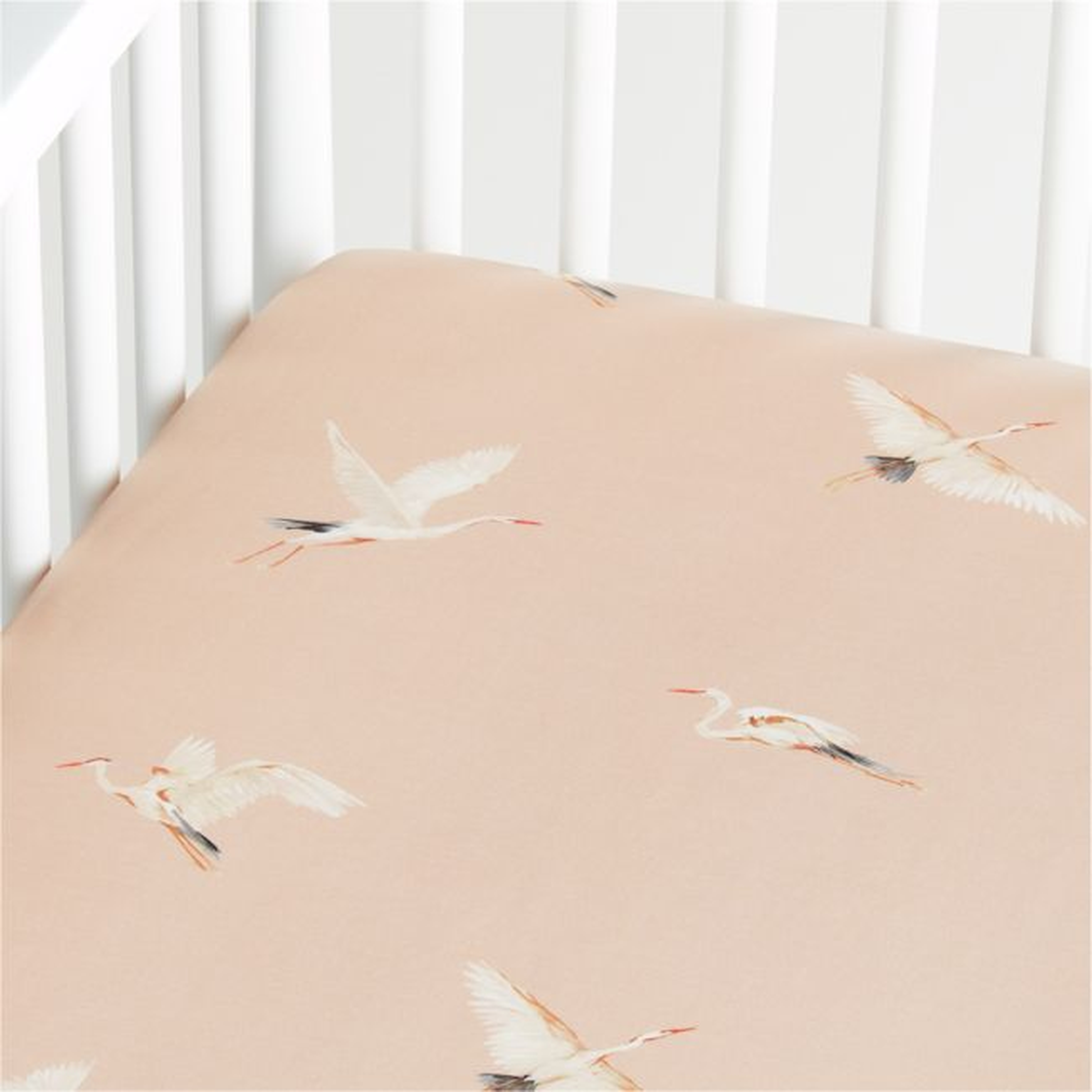 Organic Egret Crib Fitted Sheet - Crate and Barrel
