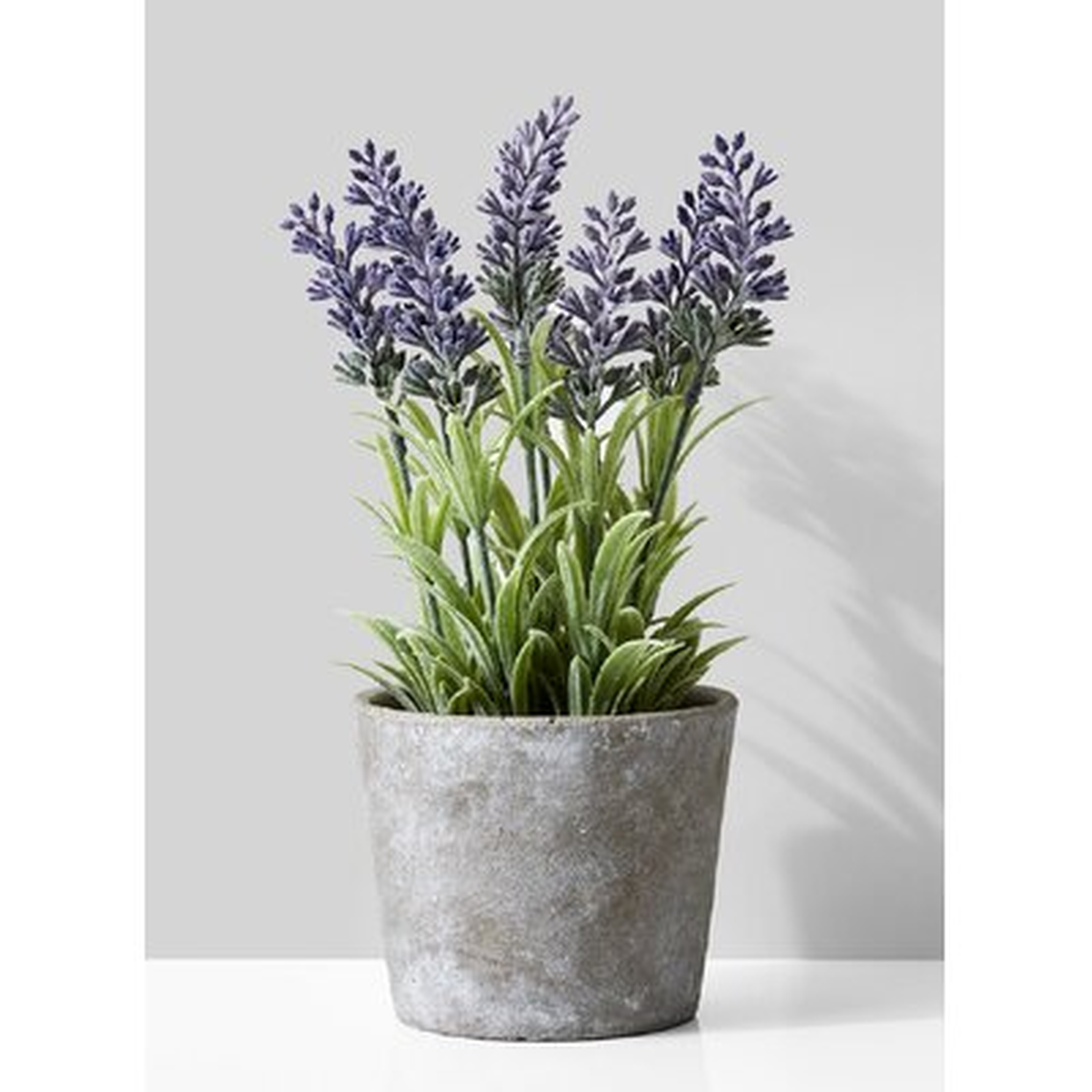 Flowering Plant Pot - Wayfair
