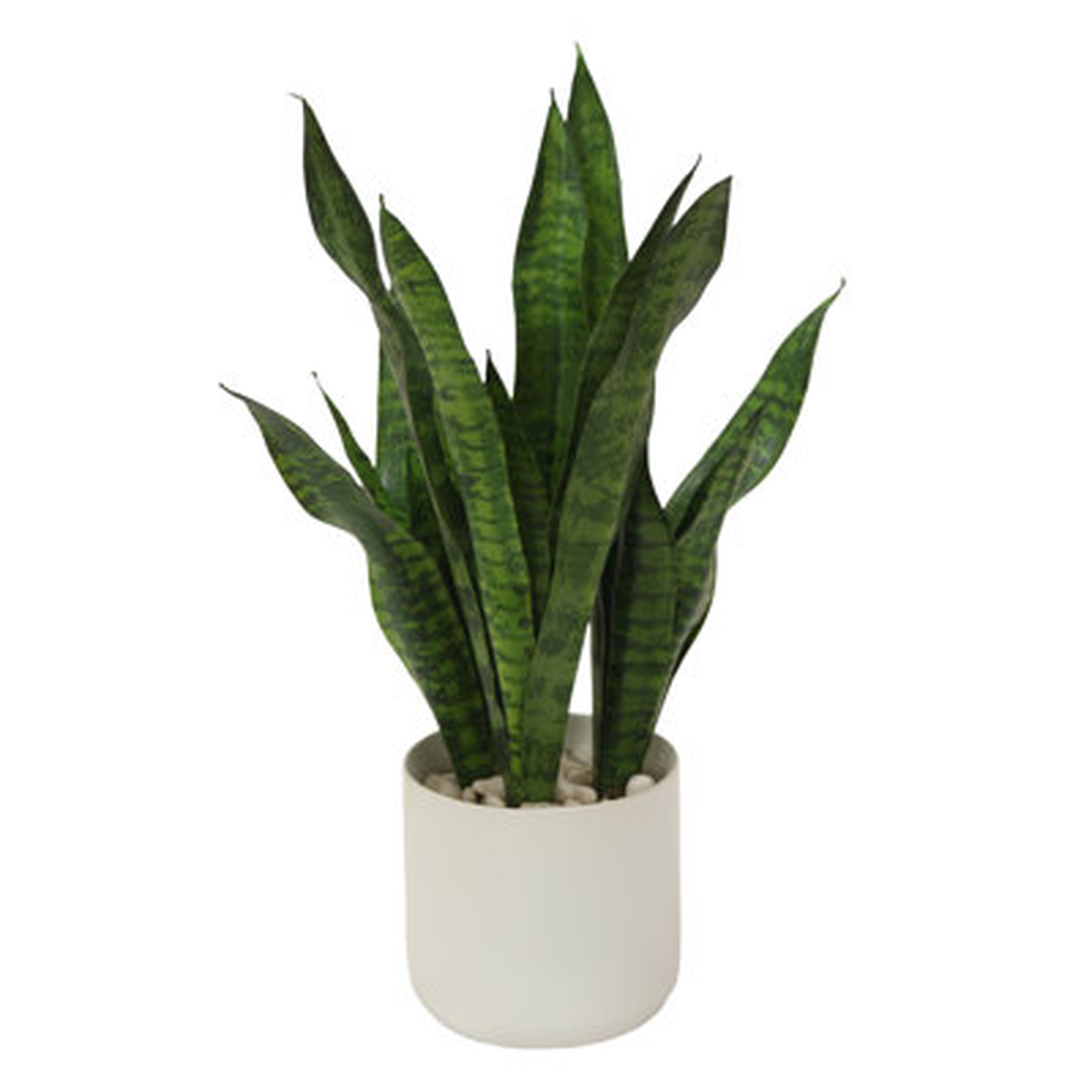 24" Artificial Snake Plant Plant in Planter - Wayfair