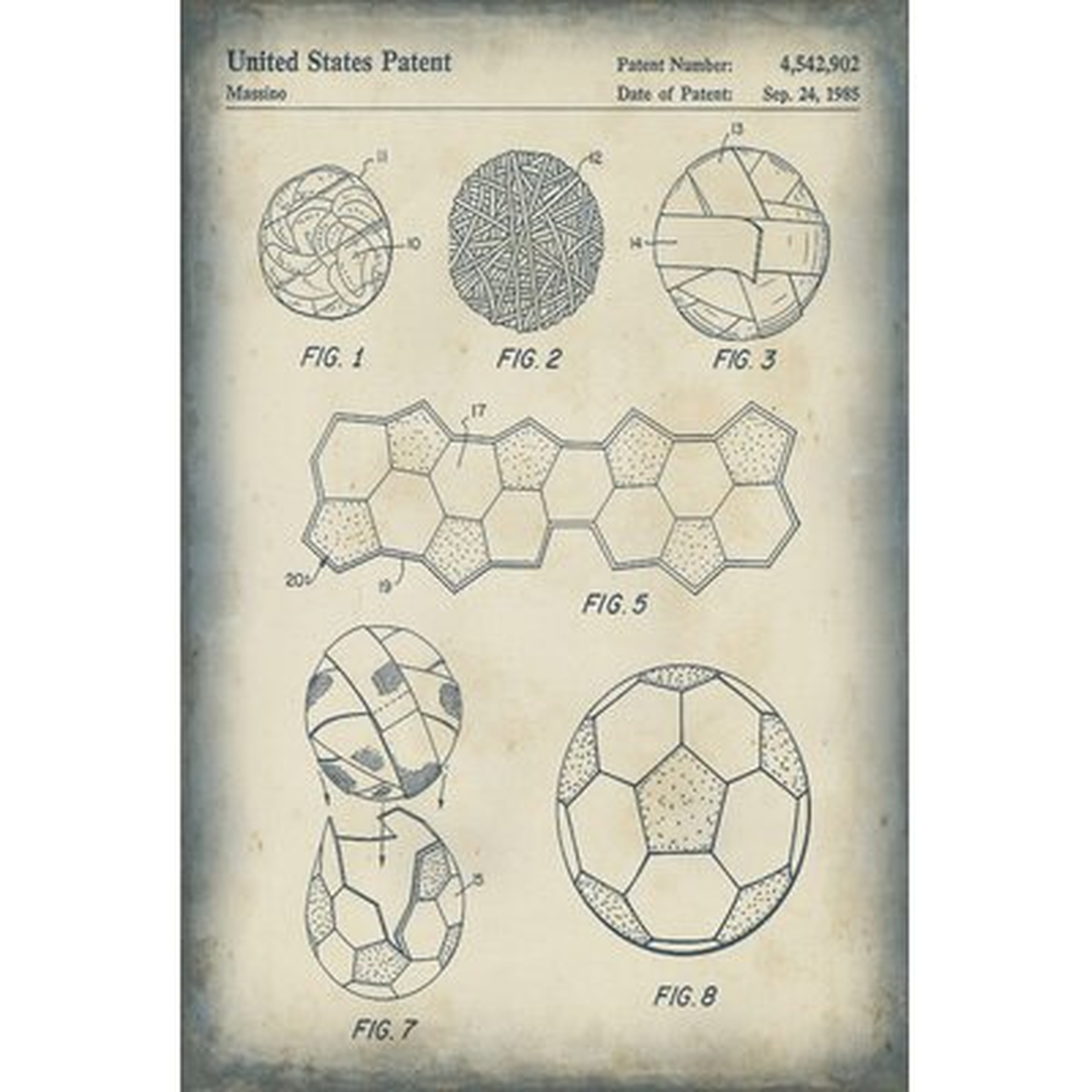 Patented Sport V - Wayfair