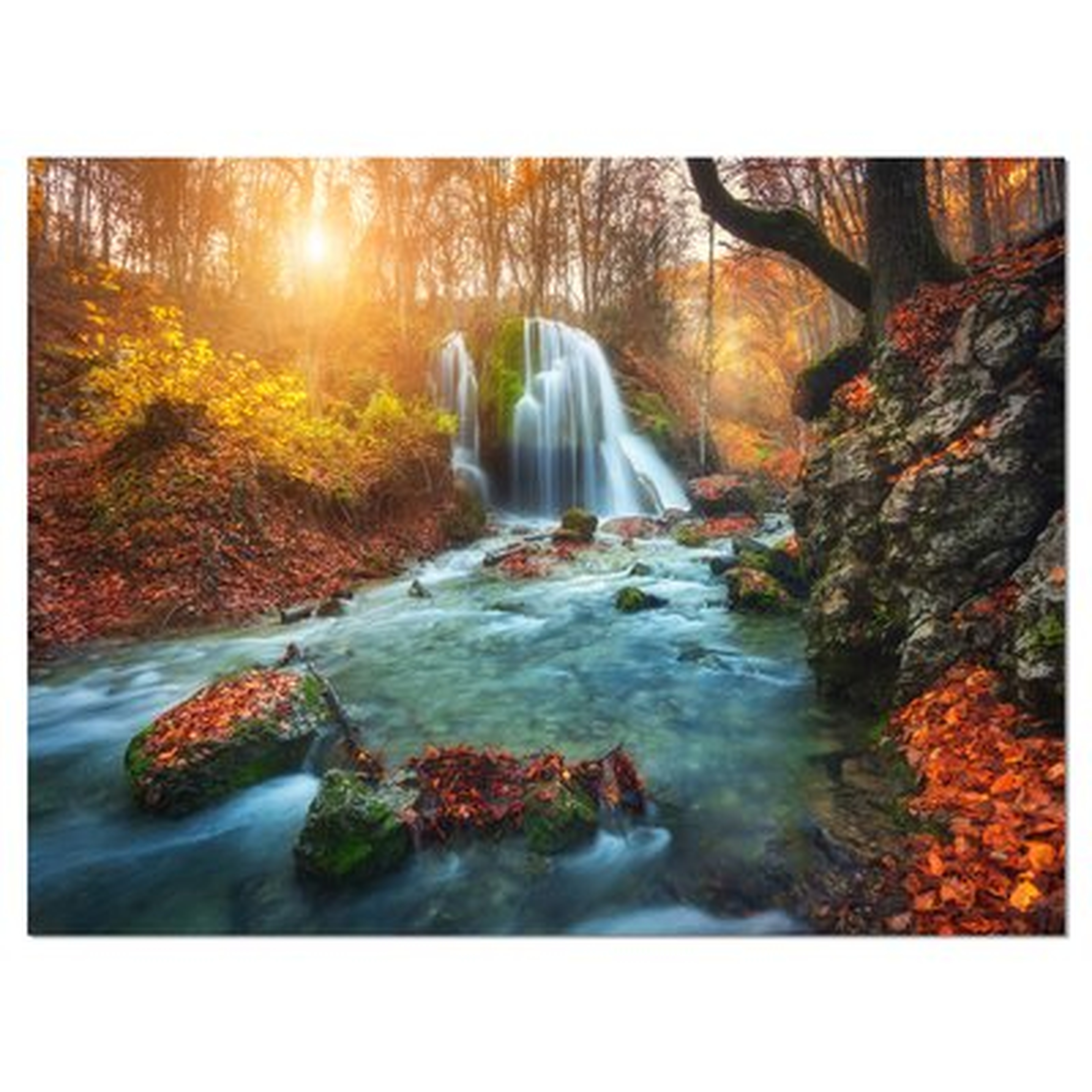 'Fast Flowing Fall River in Forest'Graphic Art - Wayfair