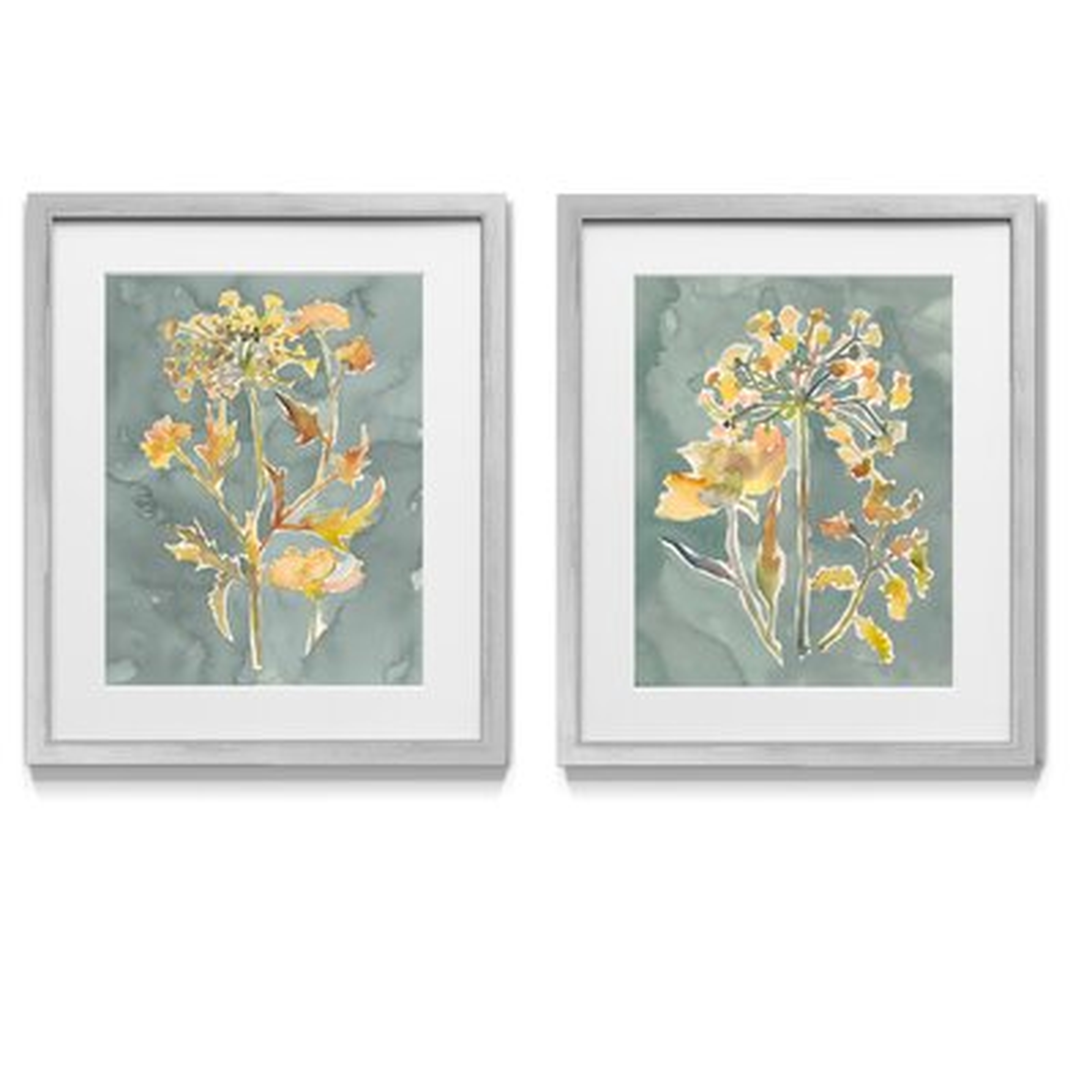 Collected Florals I - 2 Piece Picture Frame Graphic Art Print Set on Paper - Wayfair