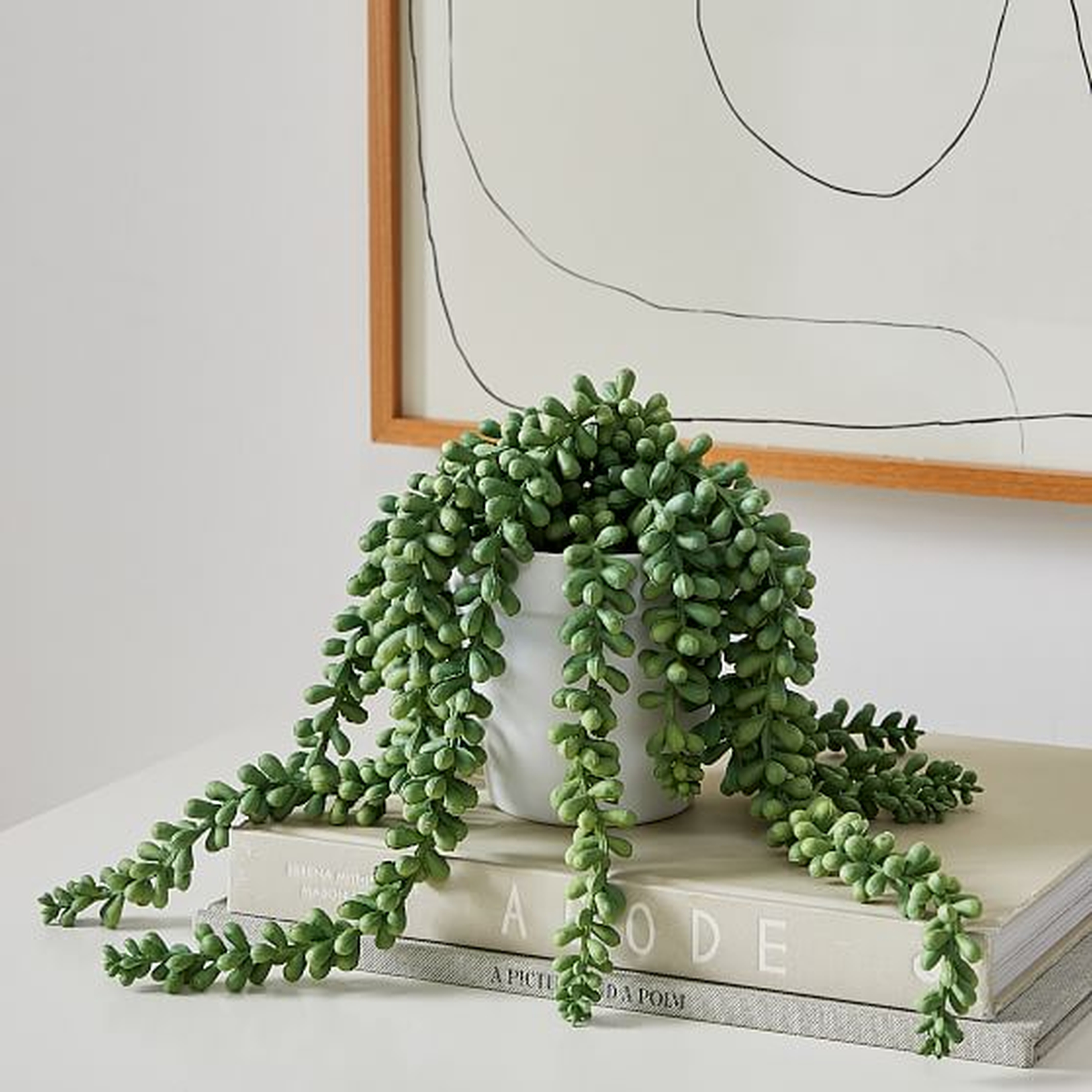 Faux Potted Donkey Tail, Small - West Elm