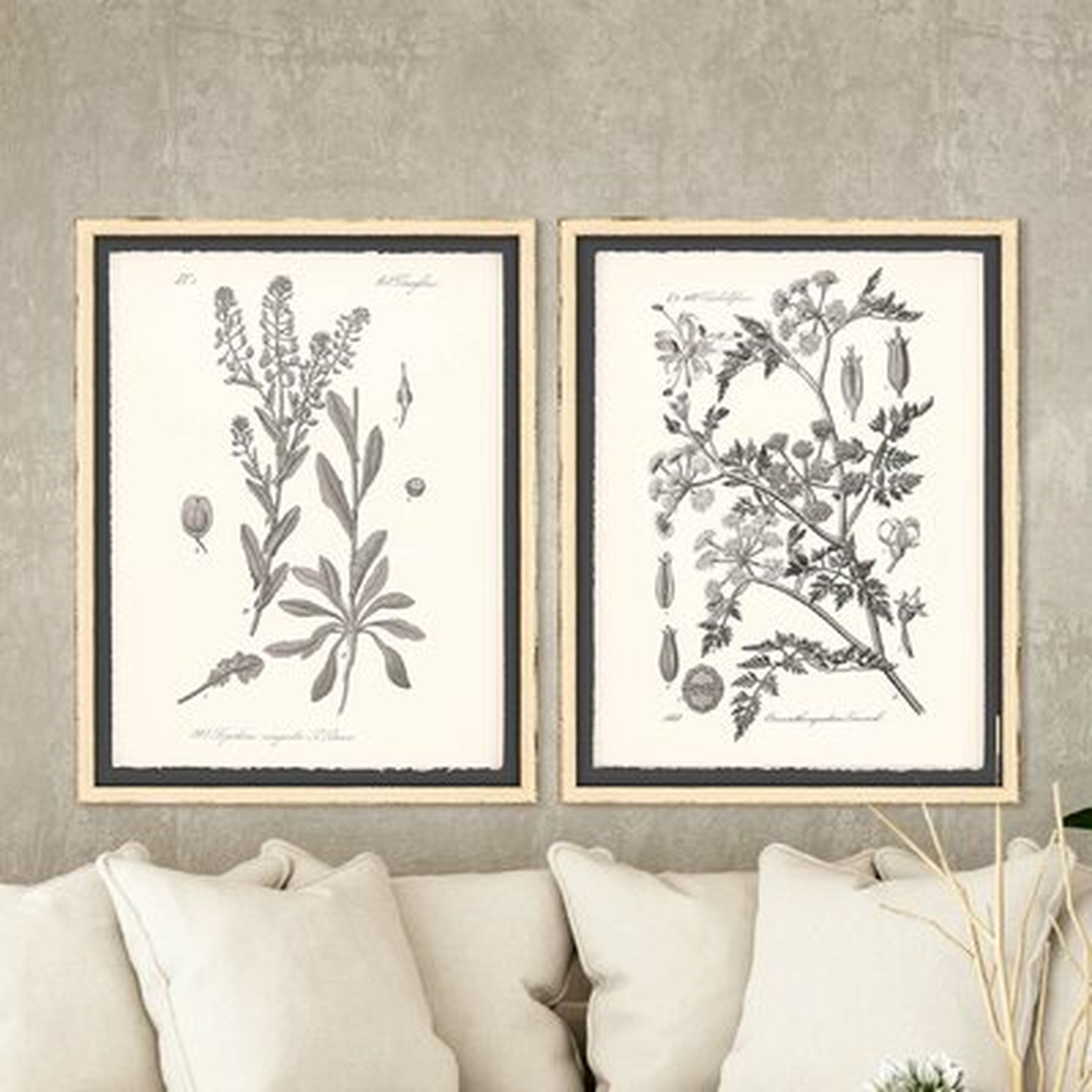 'Gray Botanicals II' - 2 Piece Picture Frame Graphic Art Set on Paper - Birch Lane