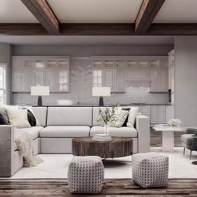 Modern, Classic, Transitional Living Room Design by Havenly Interior Designer Melissa