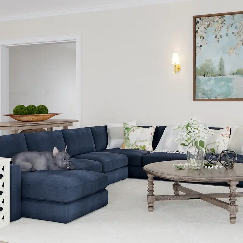 Classic, Traditional, Transitional Living Room Design by Havenly Interior Designer Kara