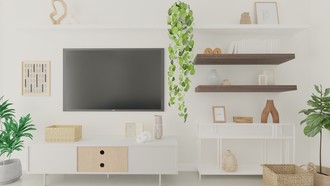 Transitional Living Room by Havenly Interior Designer Sofia