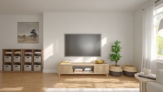 Organic Modern, Warm Transitional Living Room by Havenly Interior Designer Mercedes