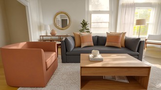  Living Room by Havenly Interior Designer Daniela
