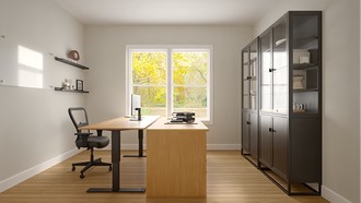  Office by Havenly Interior Designer Sarah