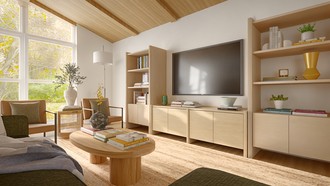  Living Room by Havenly Interior Designer Mirella