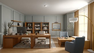  Office by Havenly Interior Designer Andrea