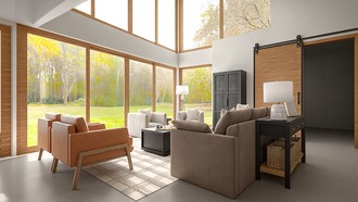 Contemporary, Eclectic, Organic Modern Living Room by Havenly Interior Designer Gabriela