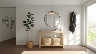 California Cool, Warm Transitional Entryway by Havenly Interior Designer Candida
