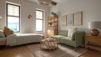  Living Room by Havenly Interior Designer Dawn