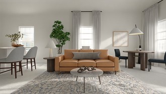  Living Room by Havenly Interior Designer Daniela