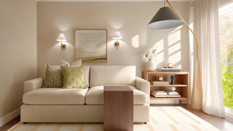 Warm Transitional Other by Havenly Interior Designer Martha