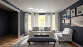  Living Room by Havenly Interior Designer Sofia