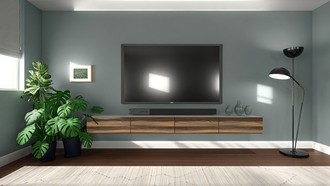 Contemporary, Modern Living Room by Havenly Interior Designer Stephanie