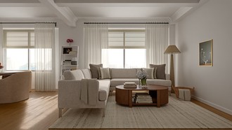Transitional, Warm Transitional Living Room by Havenly Interior Designer Erica