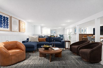 Transitional, Warm Transitional Other by Havenly Interior Designer Shadnaz