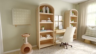  Office by Havenly Interior Designer Hannah