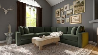  Living Room by Havenly Interior Designer Ali