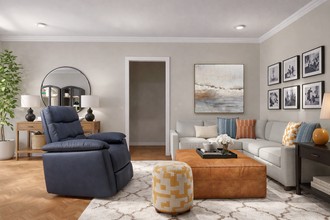 Transitional, Organic Modern, Warm Transitional Living Room by Havenly Interior Designer Shadnaz