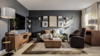  Living Room by Havenly Interior Designer Alexandra