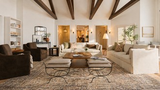  Living Room by Havenly Interior Designer Alejandra