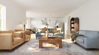Traditional, Transitional Living Room by Havenly Interior Designer Paula