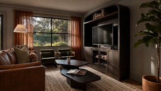  Living Room by Havenly Interior Designer Amber