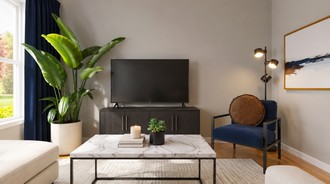  Living Room by Havenly Interior Designer Abi