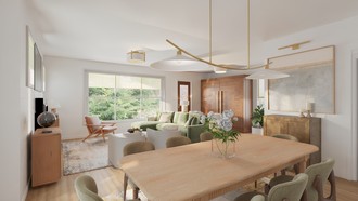 Transitional Living Room by Havenly Interior Designer Sormeh