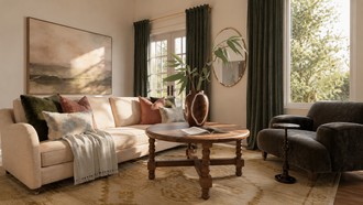  Living Room by Havenly Interior Designer Amber