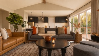  by Havenly Interior Designer Amber
