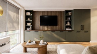  Living Room by Havenly Interior Designer Michelle