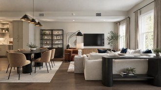  Living Room by Havenly Interior Designer Daniela